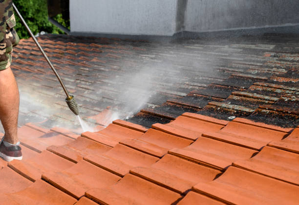 Best Pressure Washing Company Near Me  in Wildwood Crest, NJ